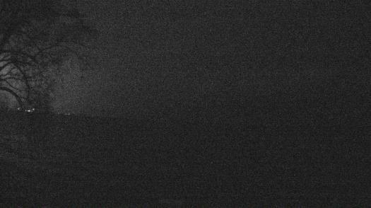 Weather camera view of Forest Lawn Beach.