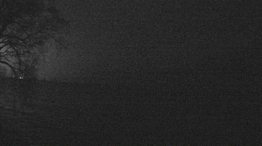 Weather camera view of Forest Lawn Beach.