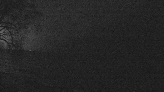 Weather camera view of Forest Lawn Beach.