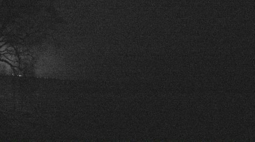 Weather camera view of Forest Lawn Beach.