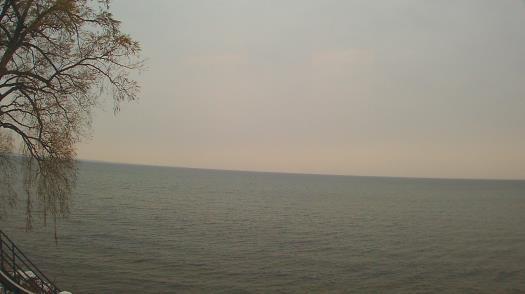 Weather camera view of Forest Lawn Beach.