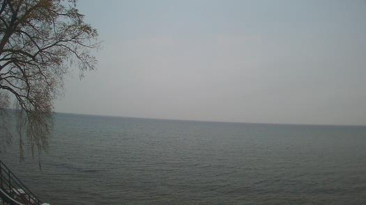 Weather camera view of Forest Lawn Beach.