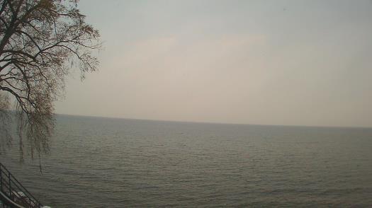 Weather camera view of Forest Lawn Beach.