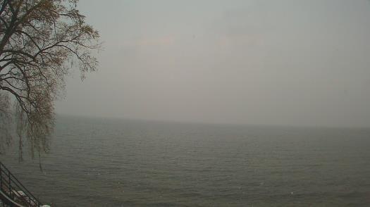 Weather camera view of Forest Lawn Beach.