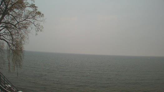 Weather camera view of Forest Lawn Beach.