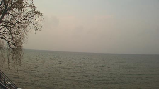 Weather camera view of Forest Lawn Beach.