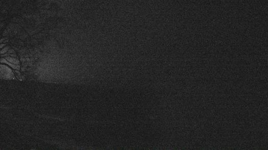 Weather camera view of Forest Lawn Beach.