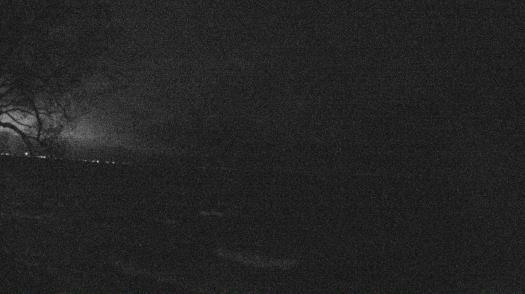 Weather camera view of Forest Lawn Beach.