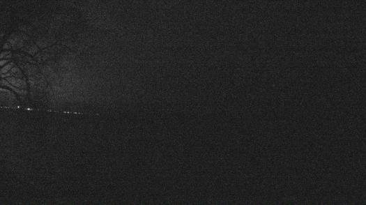 Weather camera view of Forest Lawn Beach.