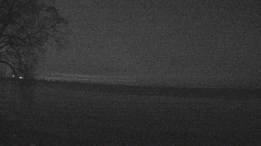 Weather camera view of Forest Lawn Beach.