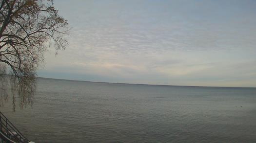 Weather camera view of Forest Lawn Beach.