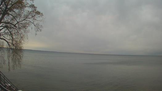 Weather camera view of Forest Lawn Beach.