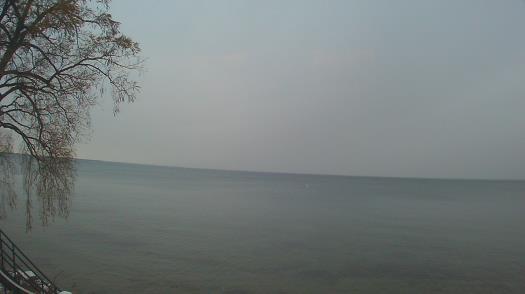 Weather camera view of Forest Lawn Beach.