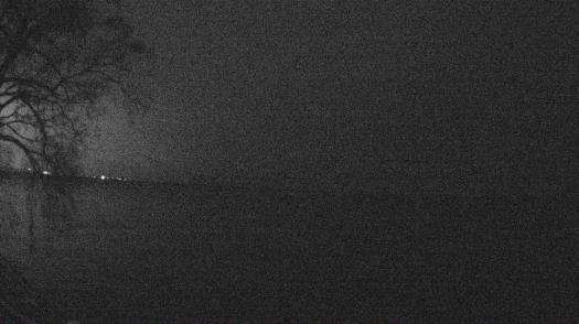 Weather camera view of Forest Lawn Beach.