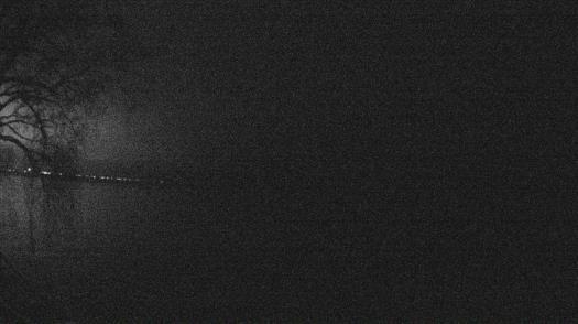 Weather camera view of Forest Lawn Beach.