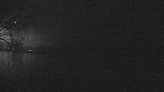 Weather camera view of Forest Lawn Beach.