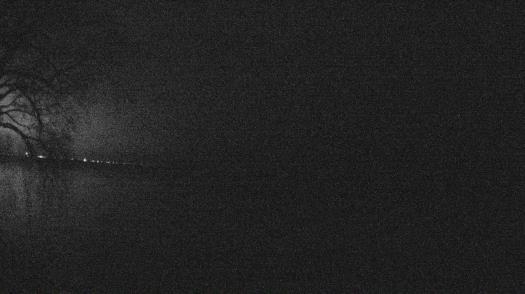 Weather camera view of Forest Lawn Beach.