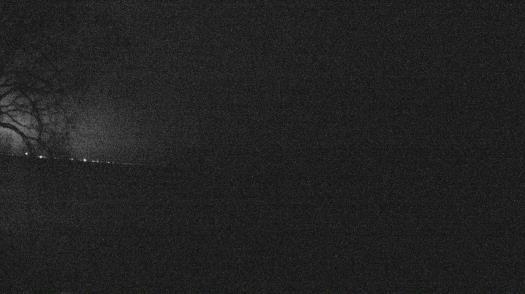 Weather camera view of Forest Lawn Beach.