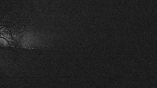 Weather camera view of Forest Lawn Beach.