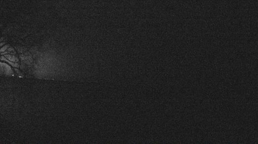 Weather camera view of Forest Lawn Beach.