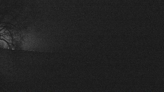 Weather camera view of Forest Lawn Beach.