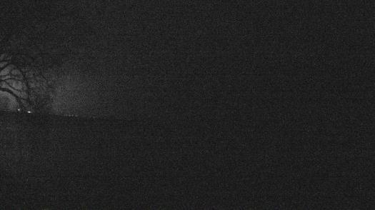 Weather camera view of Forest Lawn Beach.