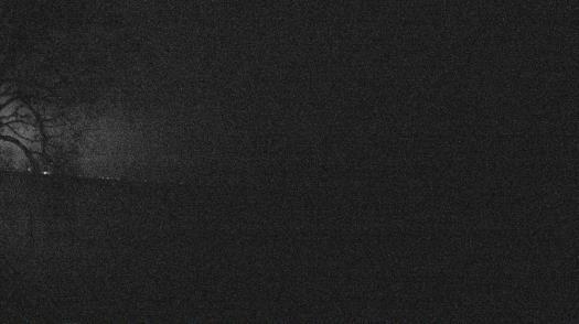 Weather camera view of Forest Lawn Beach.