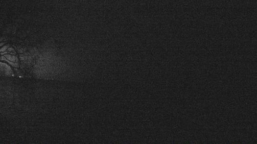 Weather camera view of Forest Lawn Beach.