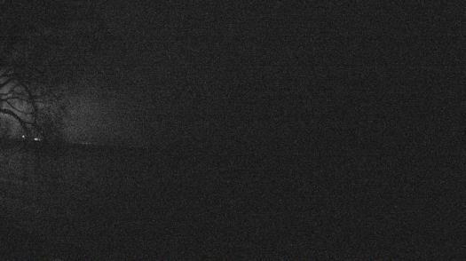 Weather camera view of Forest Lawn Beach.