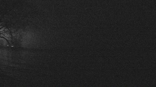 Weather camera view of Forest Lawn Beach.