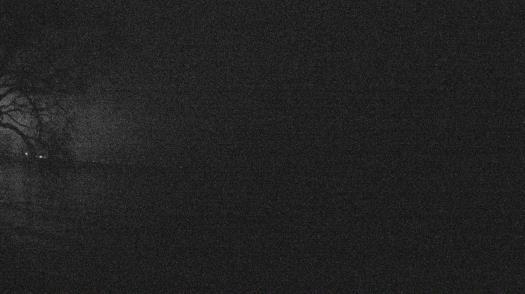 Weather camera view of Forest Lawn Beach.