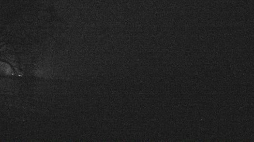 Weather camera view of Forest Lawn Beach.