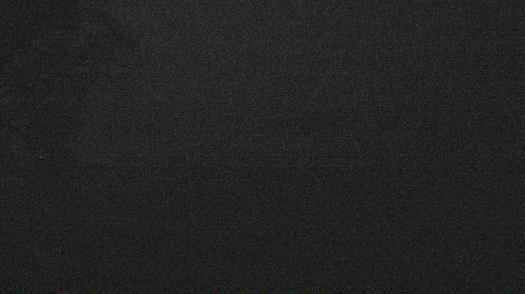 Weather camera view of Forest Lawn Beach.