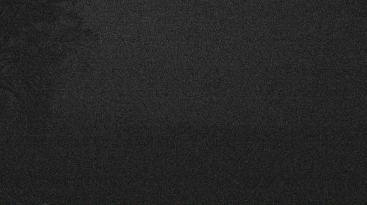 Weather camera view of Forest Lawn Beach.