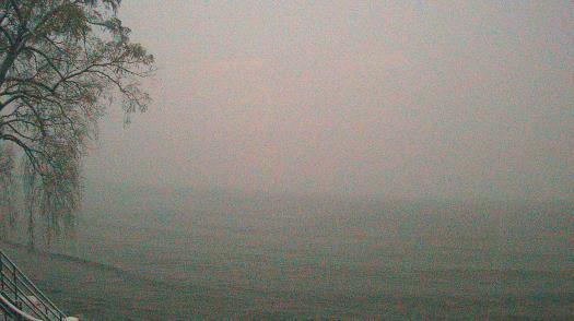 Weather camera view of Forest Lawn Beach.