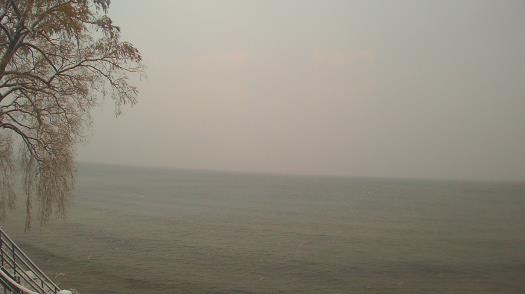 Weather camera view of Forest Lawn Beach.