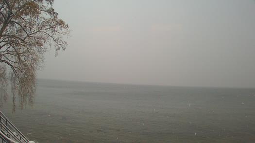 Weather camera view of Forest Lawn Beach.