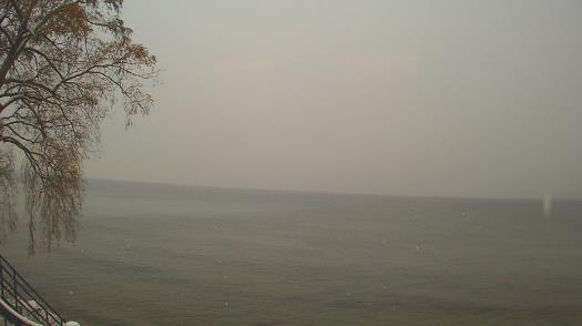 Weather camera view of Forest Lawn Beach.