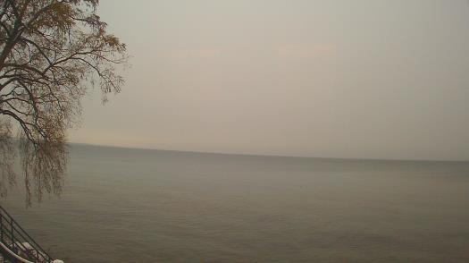 Weather camera view of Forest Lawn Beach.