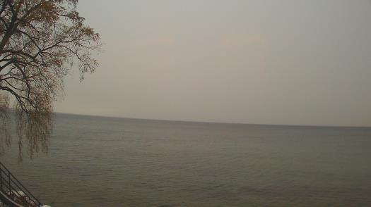 Weather camera view of Forest Lawn Beach.