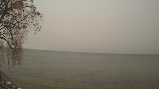 Weather camera view of Forest Lawn Beach.