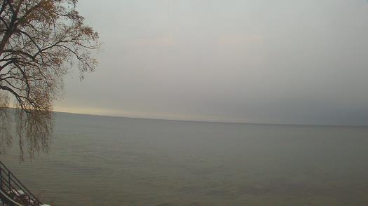 Weather camera view of Forest Lawn Beach.