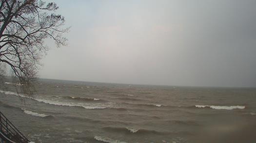 Weather camera view of Forest Lawn Beach.