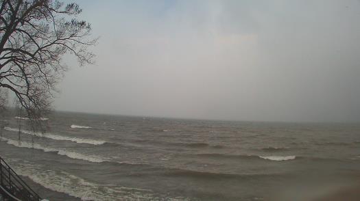 Weather camera view of Forest Lawn Beach.