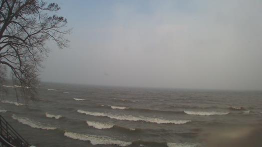 Weather camera view of Forest Lawn Beach.