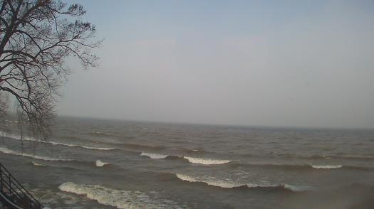 Weather camera view of Forest Lawn Beach.