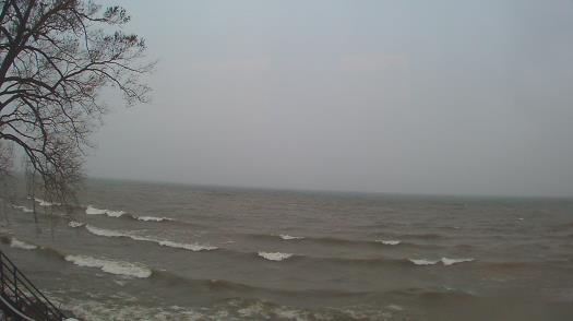 Weather camera view of Forest Lawn Beach.