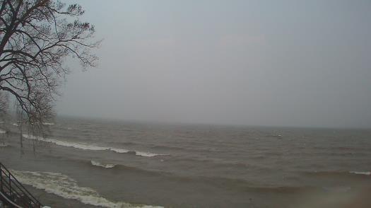 Weather camera view of Forest Lawn Beach.