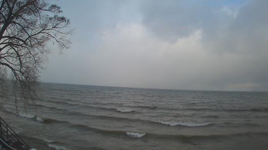 Weather camera view of Forest Lawn Beach.