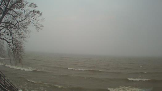 Weather camera view of Forest Lawn Beach.